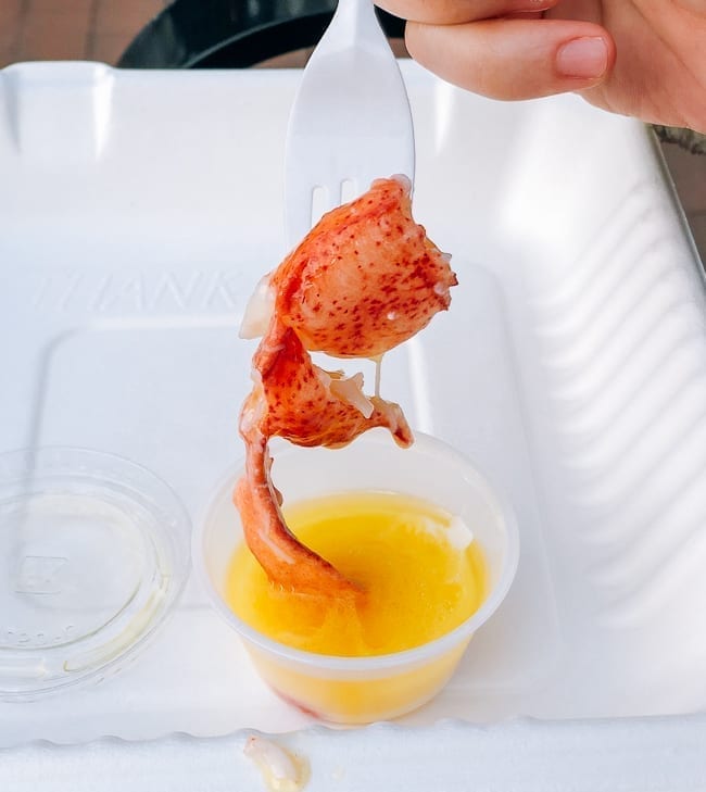 Dipping lobster into cup of butter, bmeteor.aiodimecu.cf