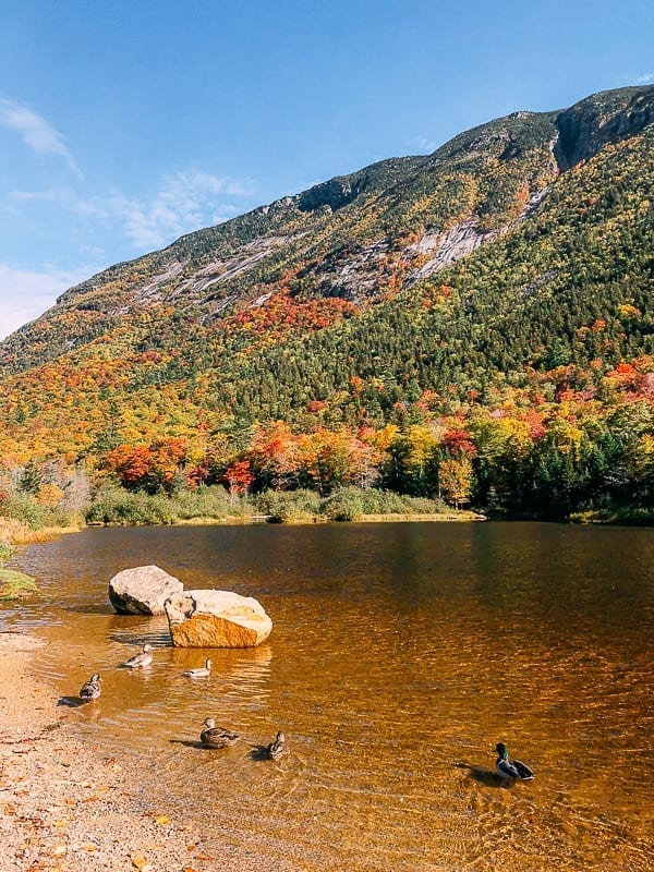 Saco River in Fall, bmeteor.aiodimecu.cf