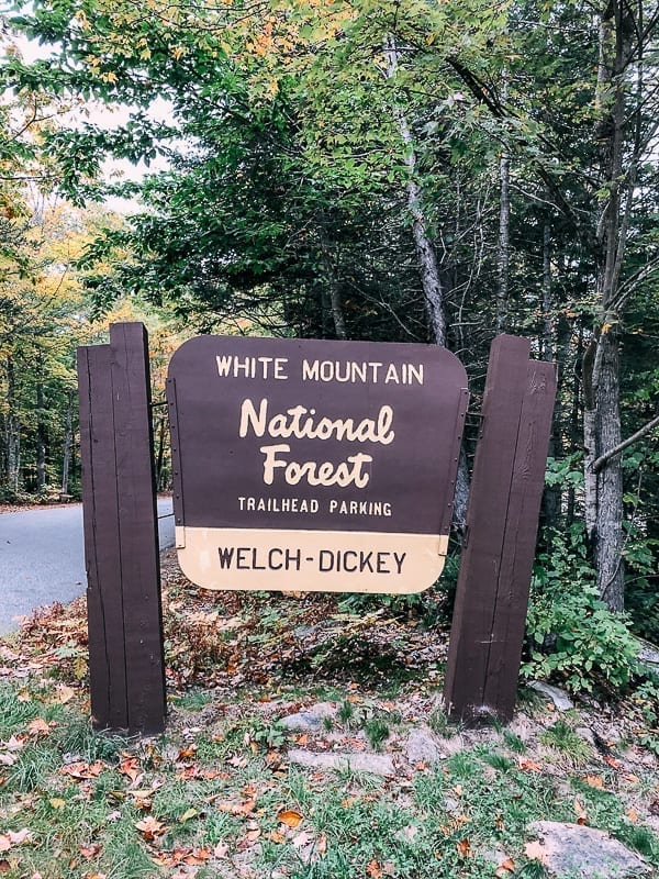 White Mountain National Forest Welch Dickey Trailhead Sign, bmeteor.aiodimecu.cf