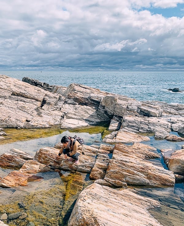 Kaitlin looking at tide pools in Maine, bmeteor.aiodimecu.cf