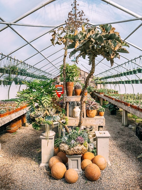 Greenhouse at Snug Harbor Farm, bmeteor.aiodimecu.cf
