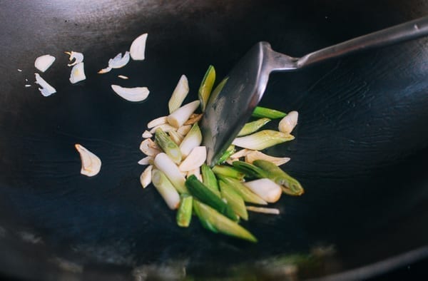 Scallion whites and garlic in wok, bmeteor.aiodimecu.cf