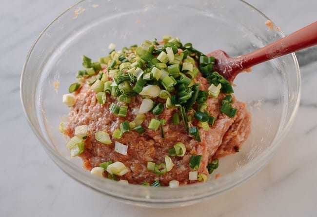Stirring scallions into meat mixture, bmeteor.aiodimecu.cf