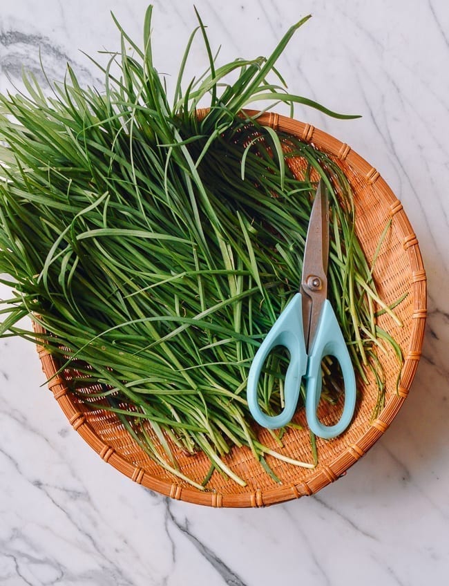 Garlic Chives in basket, bmeteor.aiodimecu.cf