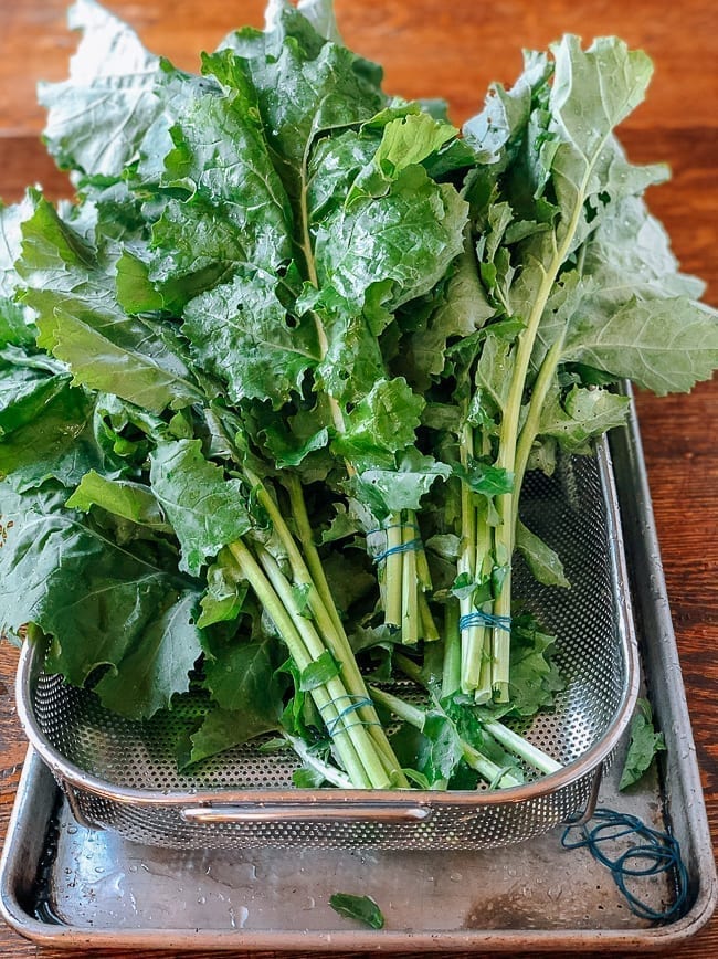 Greens tied into bundles, bmeteor.aiodimecu.cf