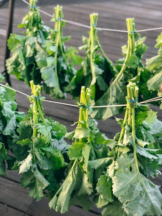 Drying greens in bundles outside, bmeteor.aiodimecu.cf