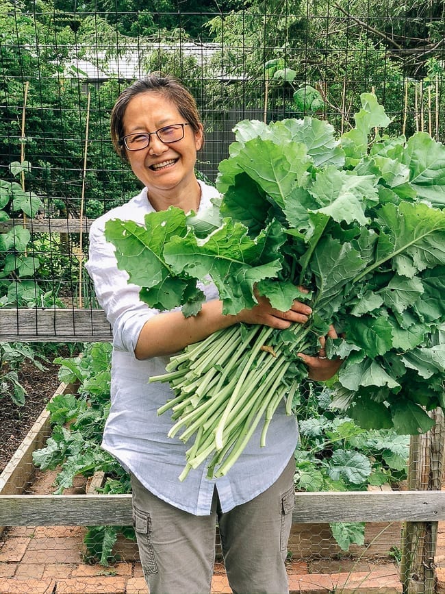 Judy with kale harvest, bmeteor.aiodimecu.cf