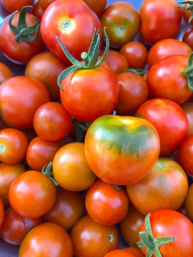 Tomato harvest, bmeteor.aiodimecu.cf
