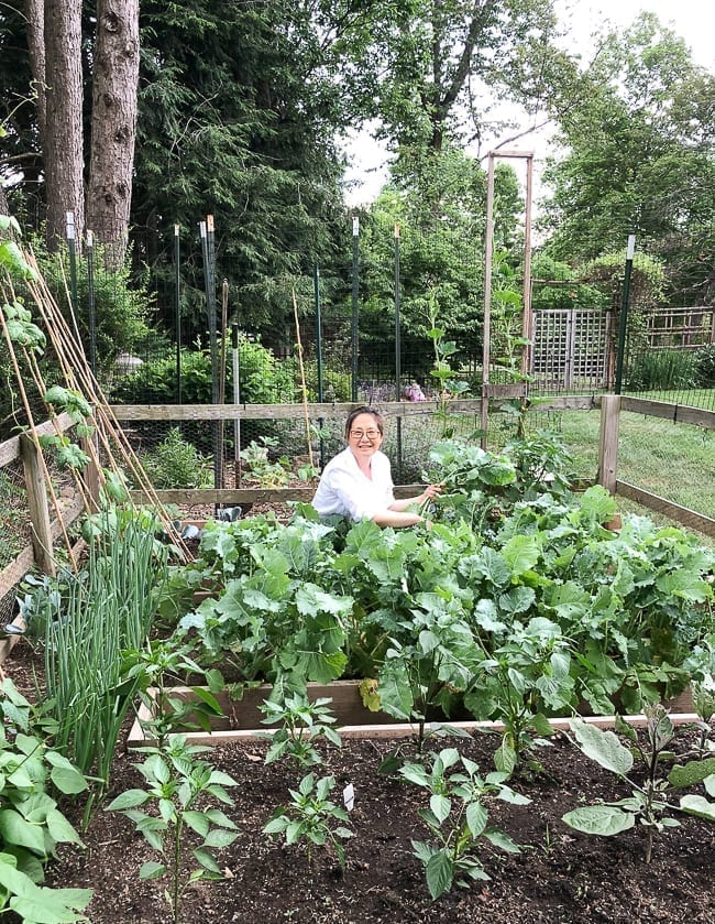 Judy in The Woks of Life family garden, bmeteor.aiodimecu.cf