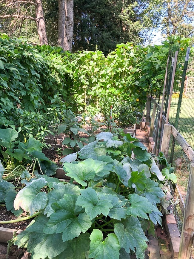 The Woks of Life Garden Tour, bmeteor.aiodimecu.cf
