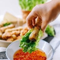 Vietnamese Cha Gio, bmeteor.aiodimecu.cf