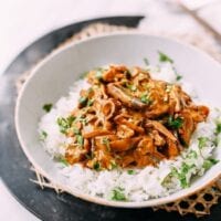 Vegan Adobo, bmeteor.aiodimecu.cf