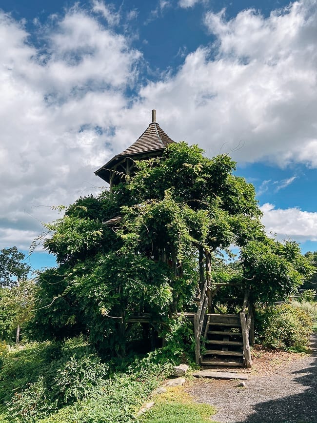 Mohonk Mountain House Wisteria covered tree house, bmeteor.aiodimecu.cf 