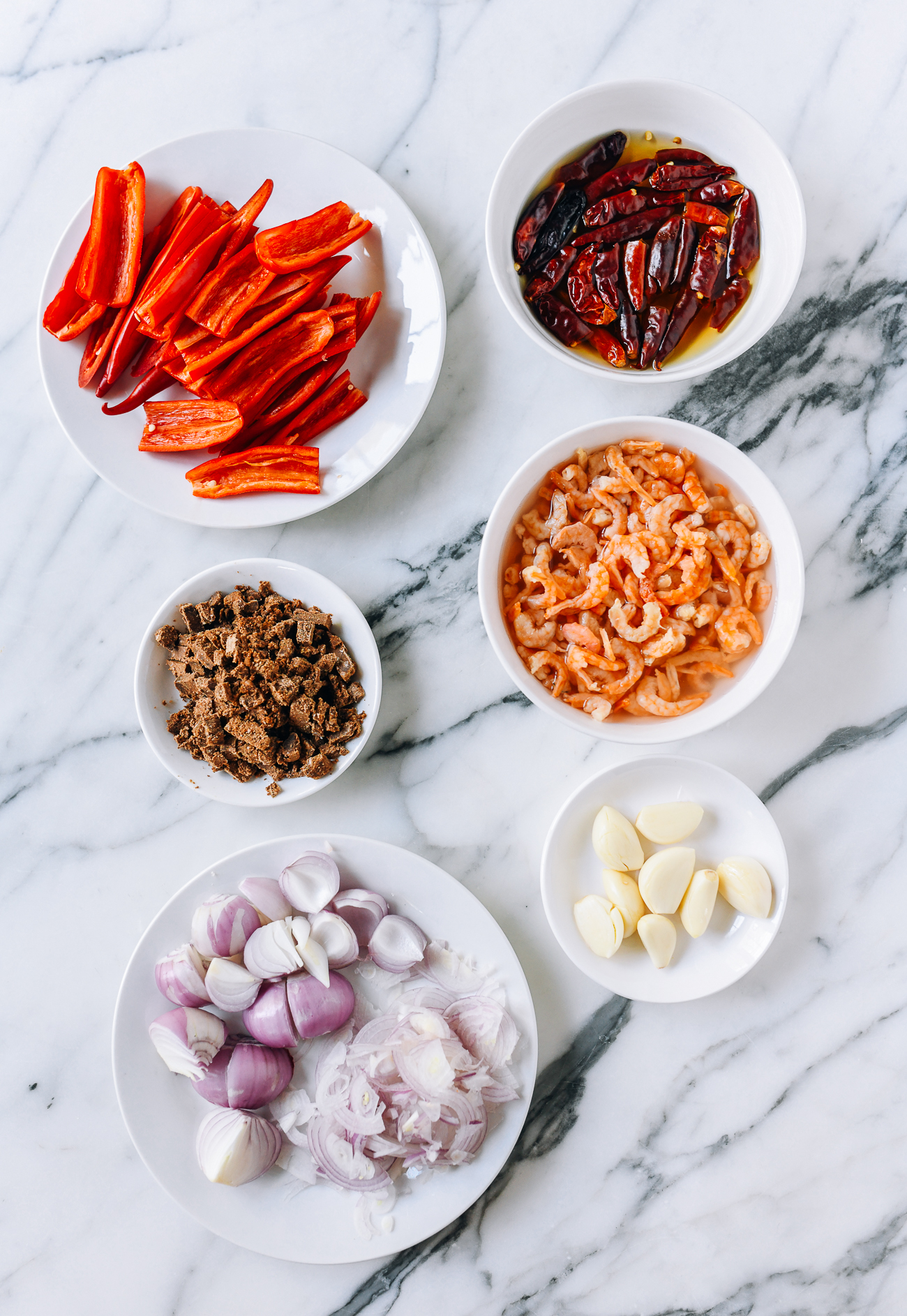 Fresh and dried chili, belacan, dried shrimp, shallots, and garlic