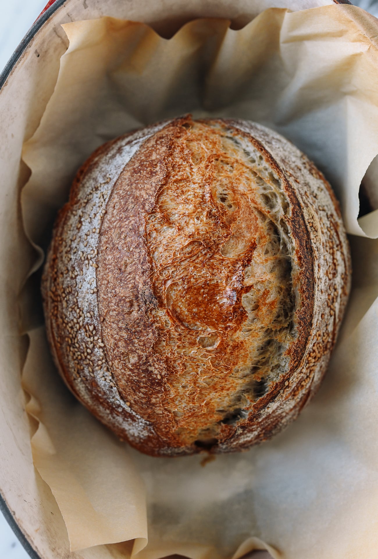 Baked sourdough loaf in Dutch oven