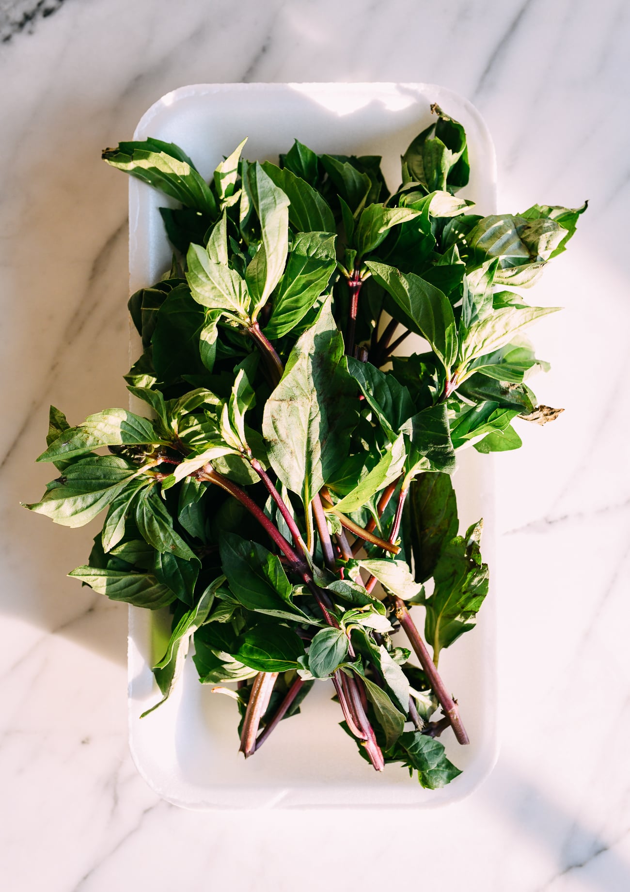 Bunch of Thai Basil