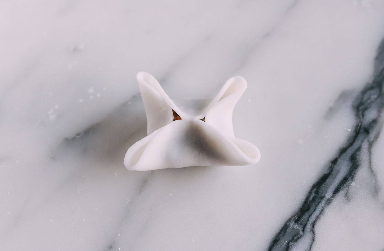 folding dumpling into four sided shape