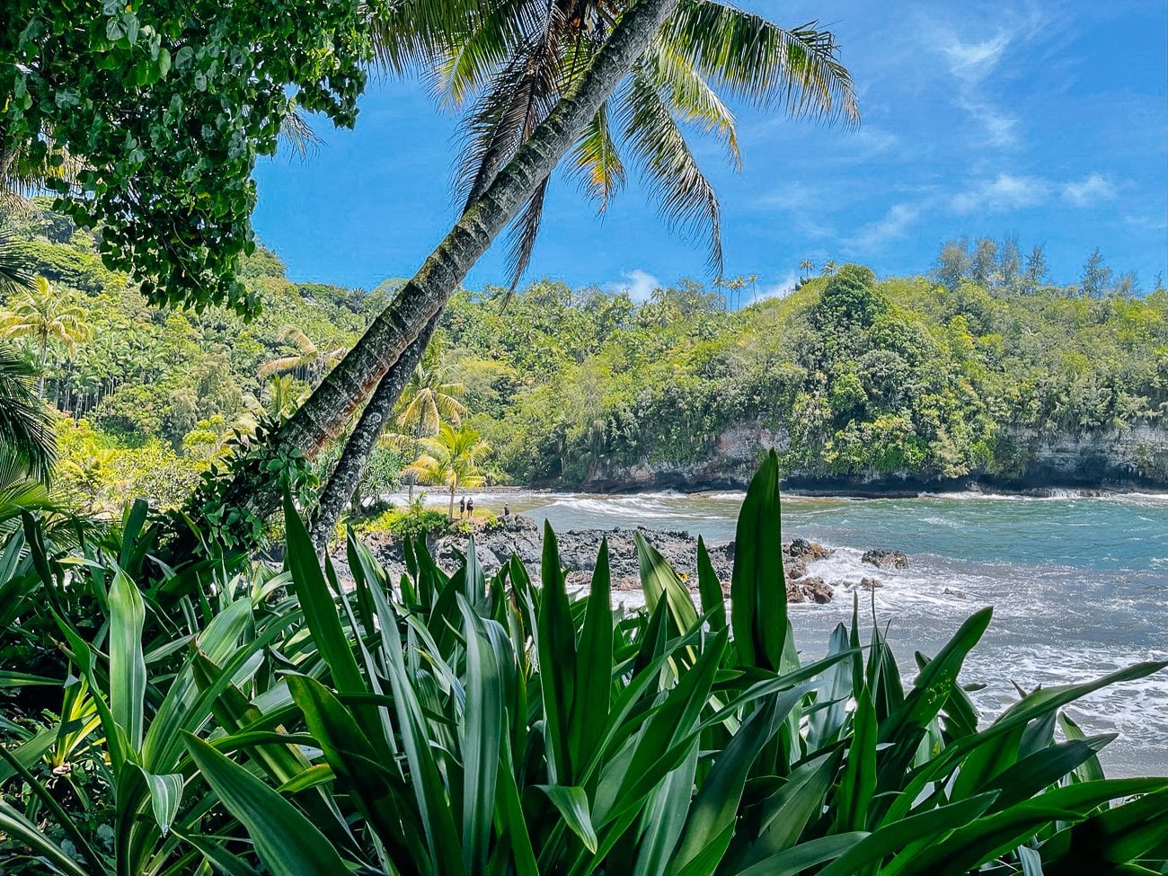 Onomea Bay