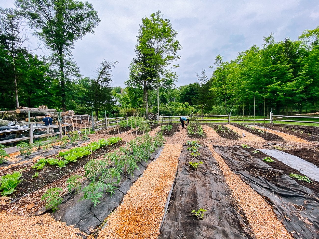 garden beds