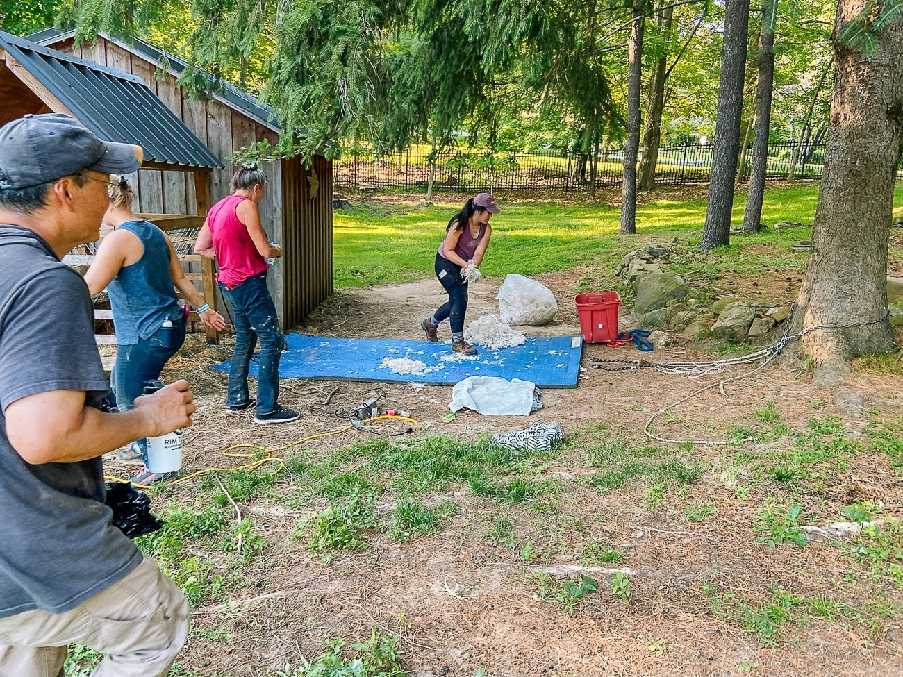 shearing set-up