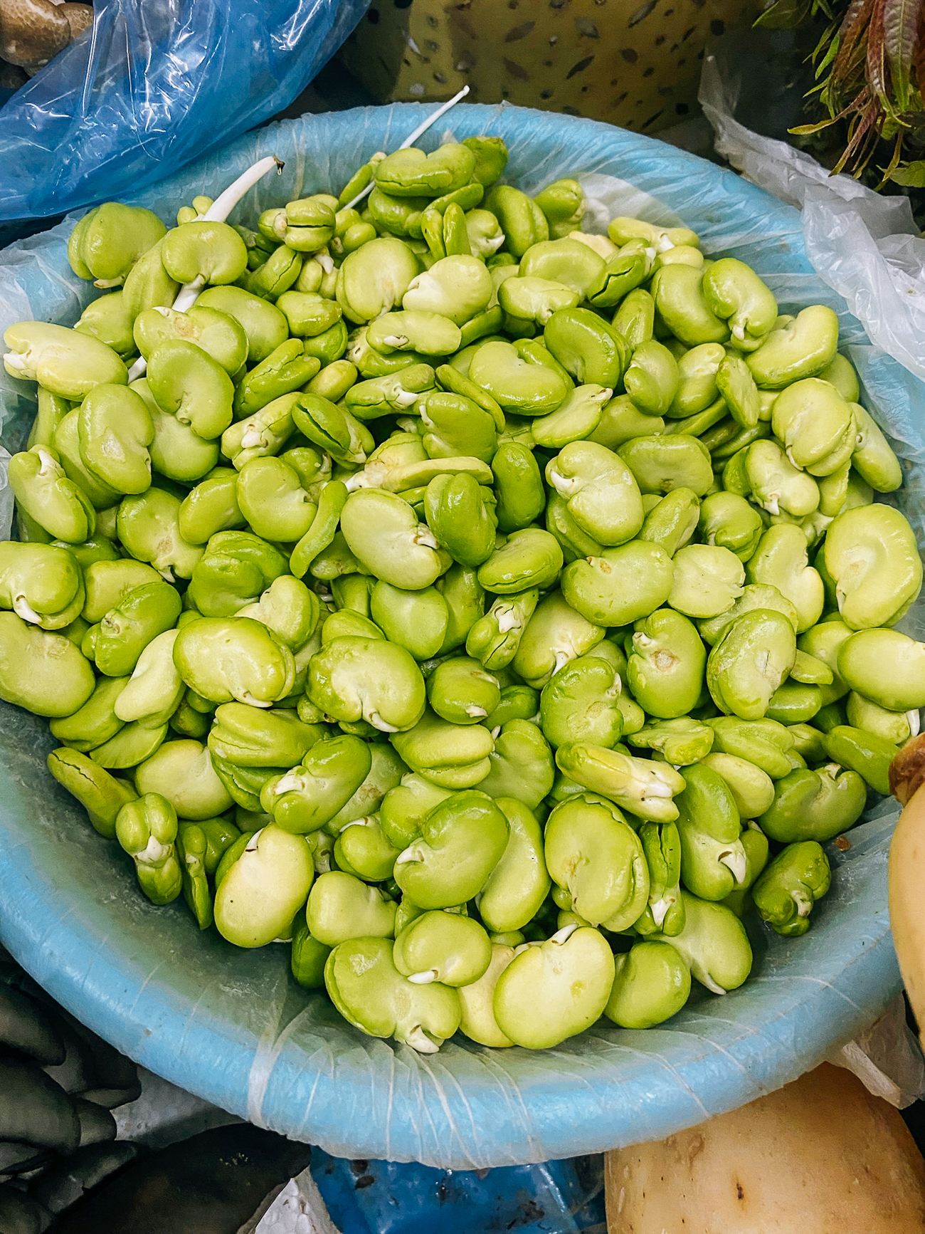fava beans