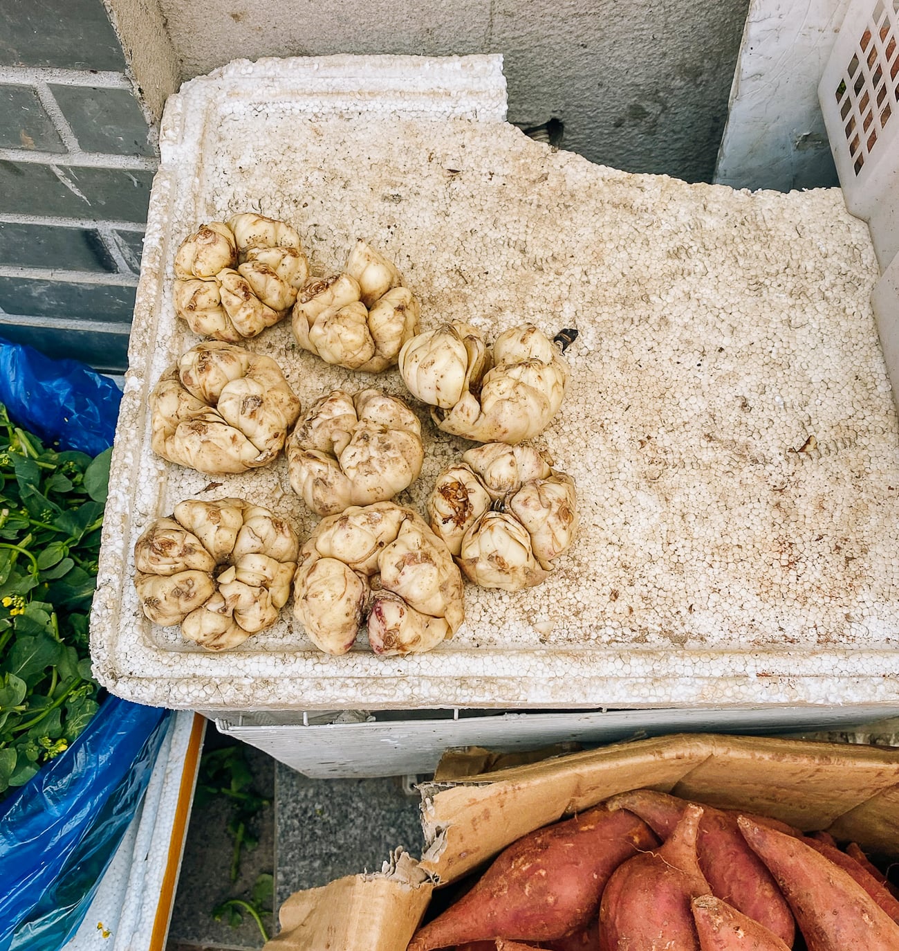 fresh lily bulbs