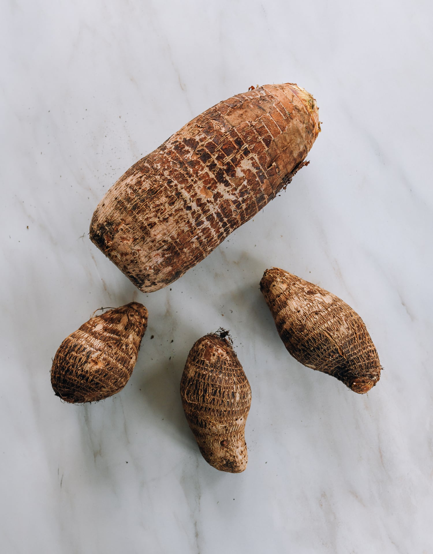 What Is Taro?